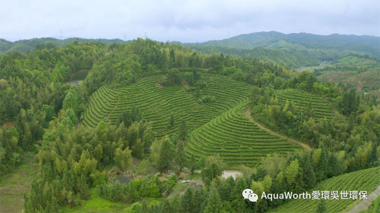 1636436864636682.jpg 1副本.jpg