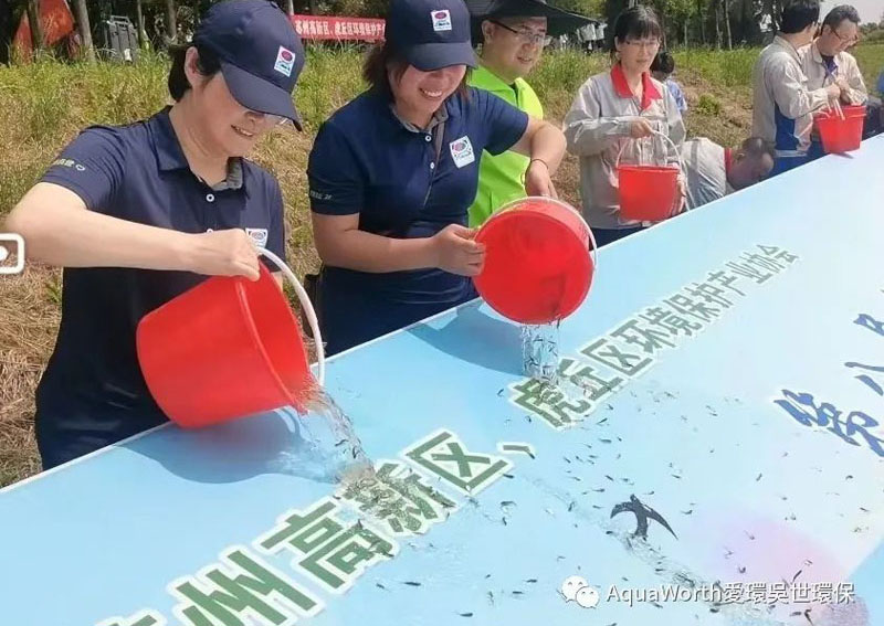 1654747519830618.jpg 6.jpg