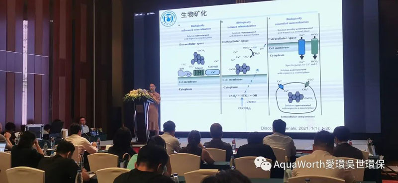 1655716378349508.jpg 6.jpg